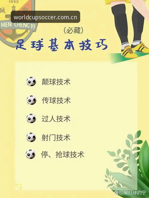 世界杯买球App实用必备知识：从零开始的完整操作指南